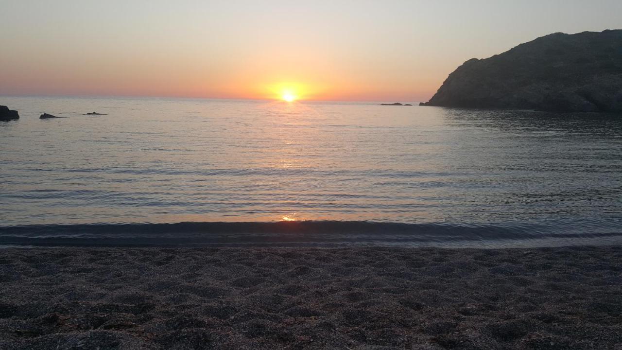 B&B Casa Balai 72 A 100 Mt Dal Mare Porto Torres Eksteriør billede